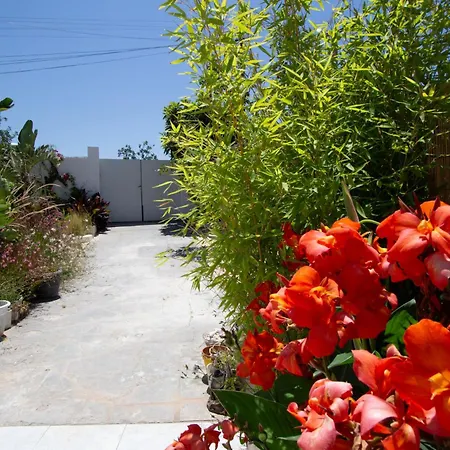 Tropical Oasis Costa Dorada With Private Pool *