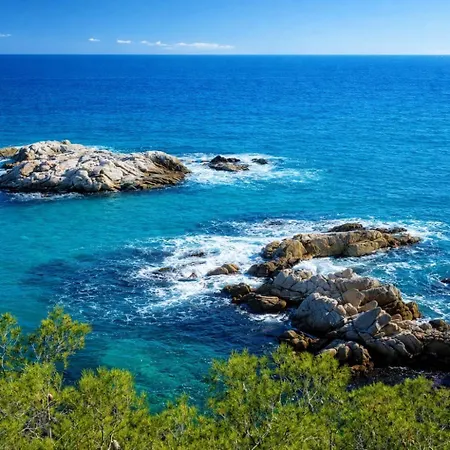 Vil·la Tropical Oasis Costa Dorada With Private Pool